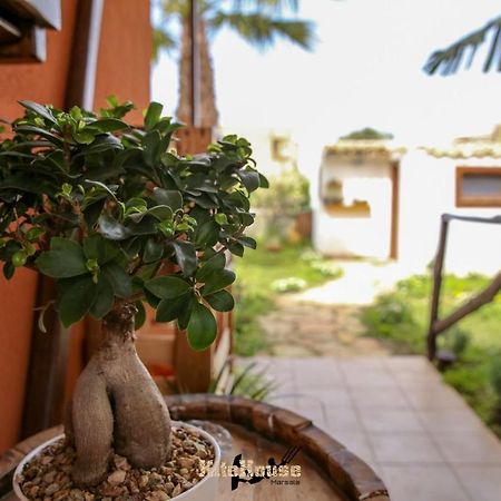 Kite House Marsala Stagnone Bed and Breakfast Εξωτερικό φωτογραφία
